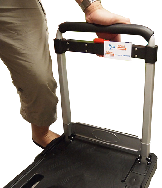 Put the trolley onto the ground. Then push, hold and extend the handle fully.